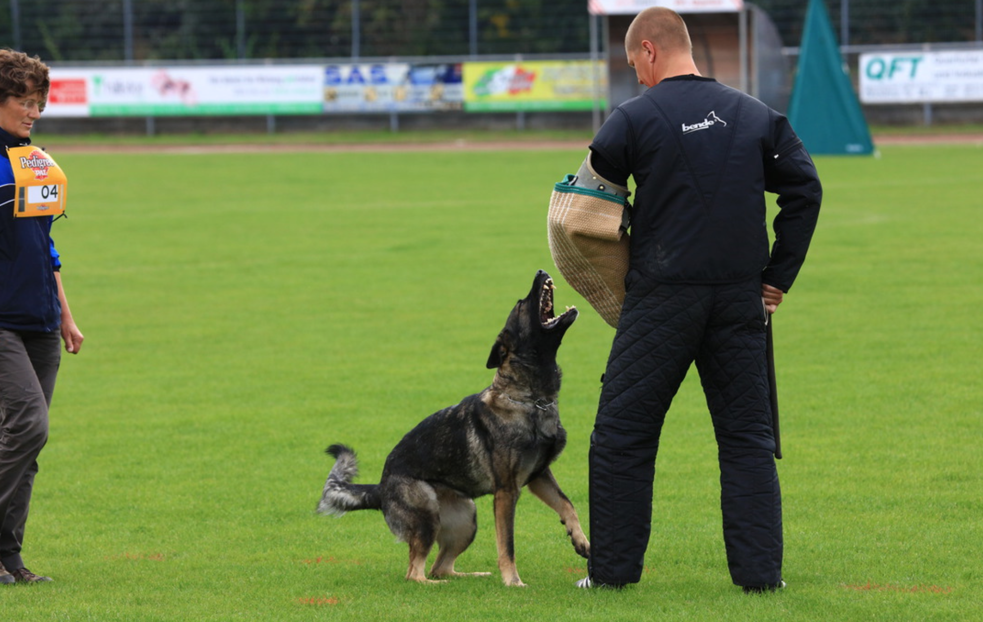 Read more about the article Ysis qualifies for BSP!