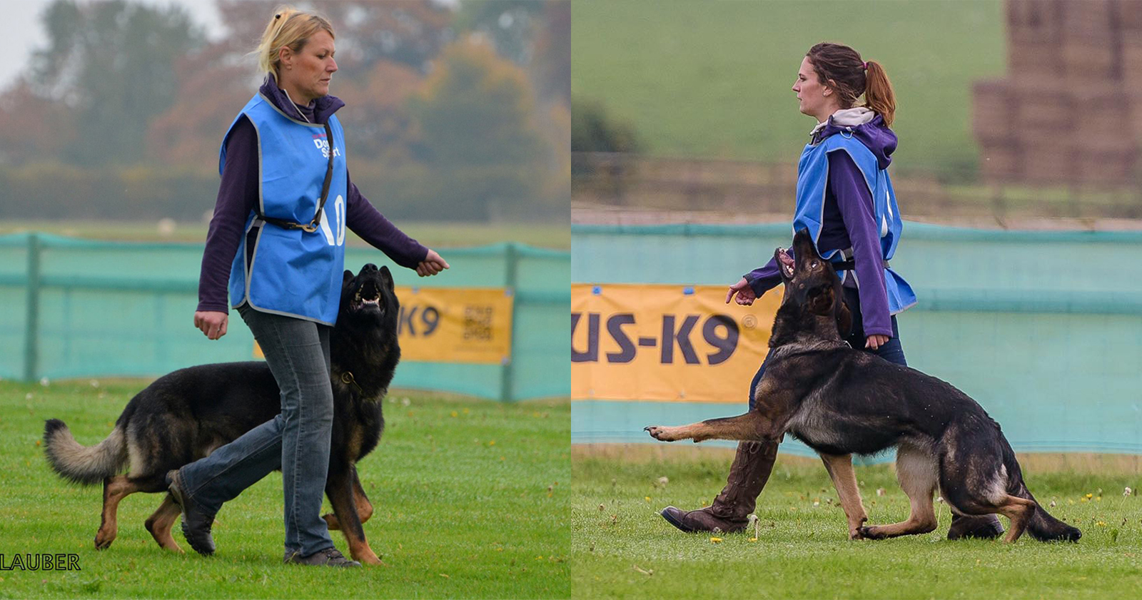 Read more about the article Hohenburg Aaron & Boa at GSDL Nationals 2016