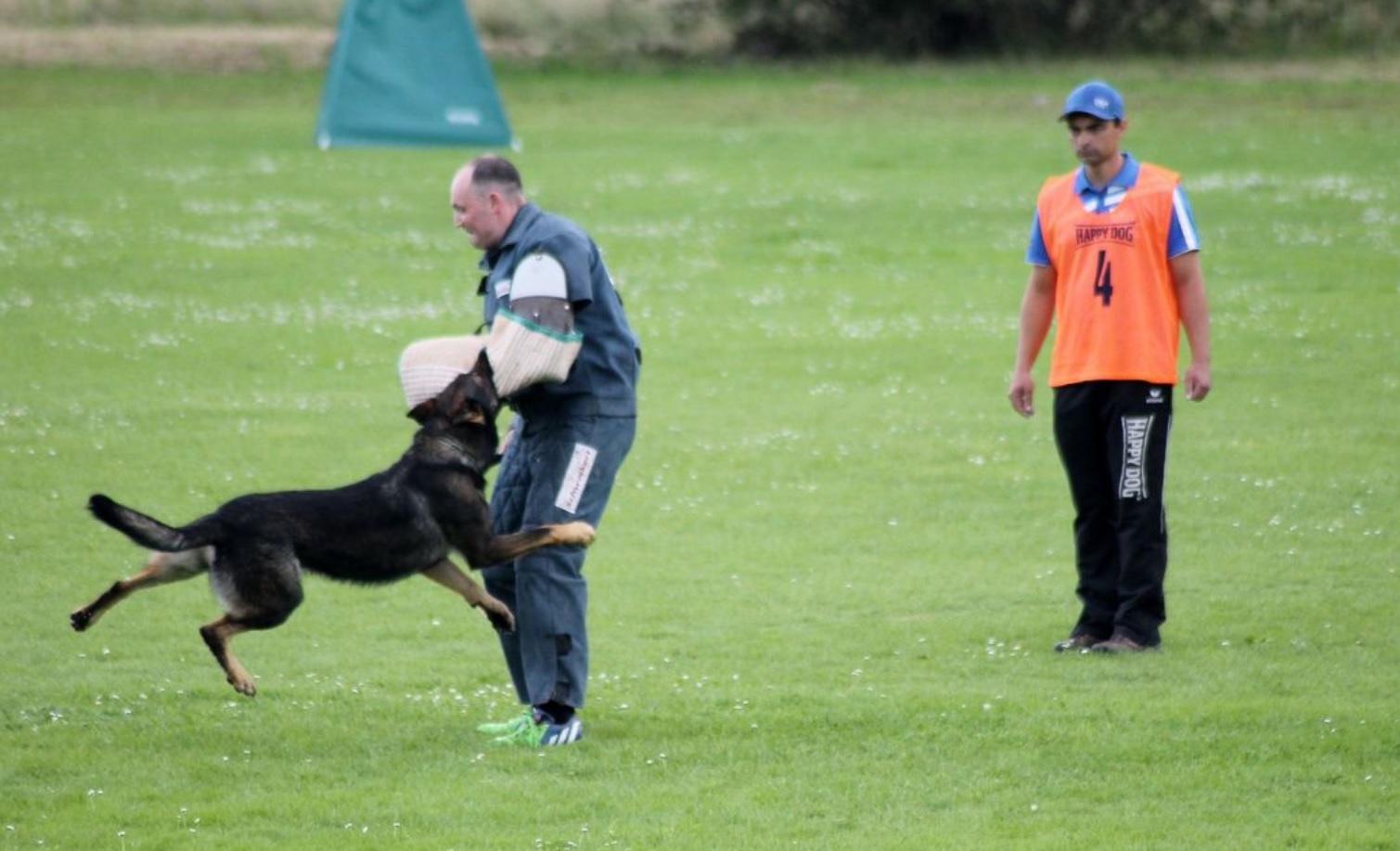 Read more about the article Hohenburg Baki